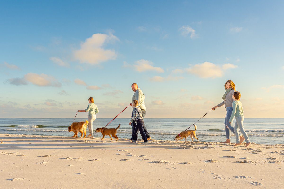 walking the dogs on the private beach image from our FAQ page walking the dogs